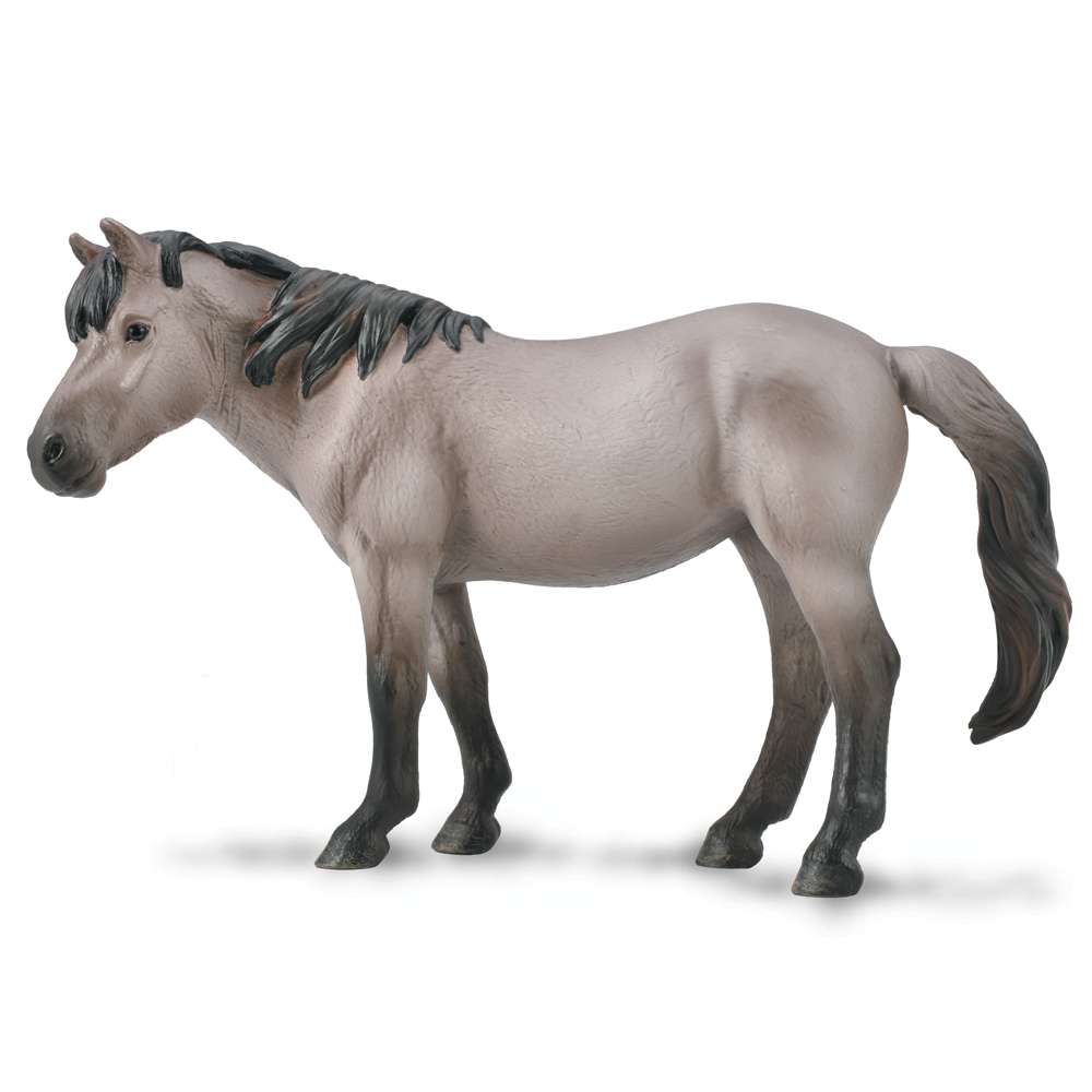 Konik Mare Blue Dun