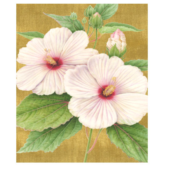 Hibiscus Gold Bronze Anniversary Card - Caspari