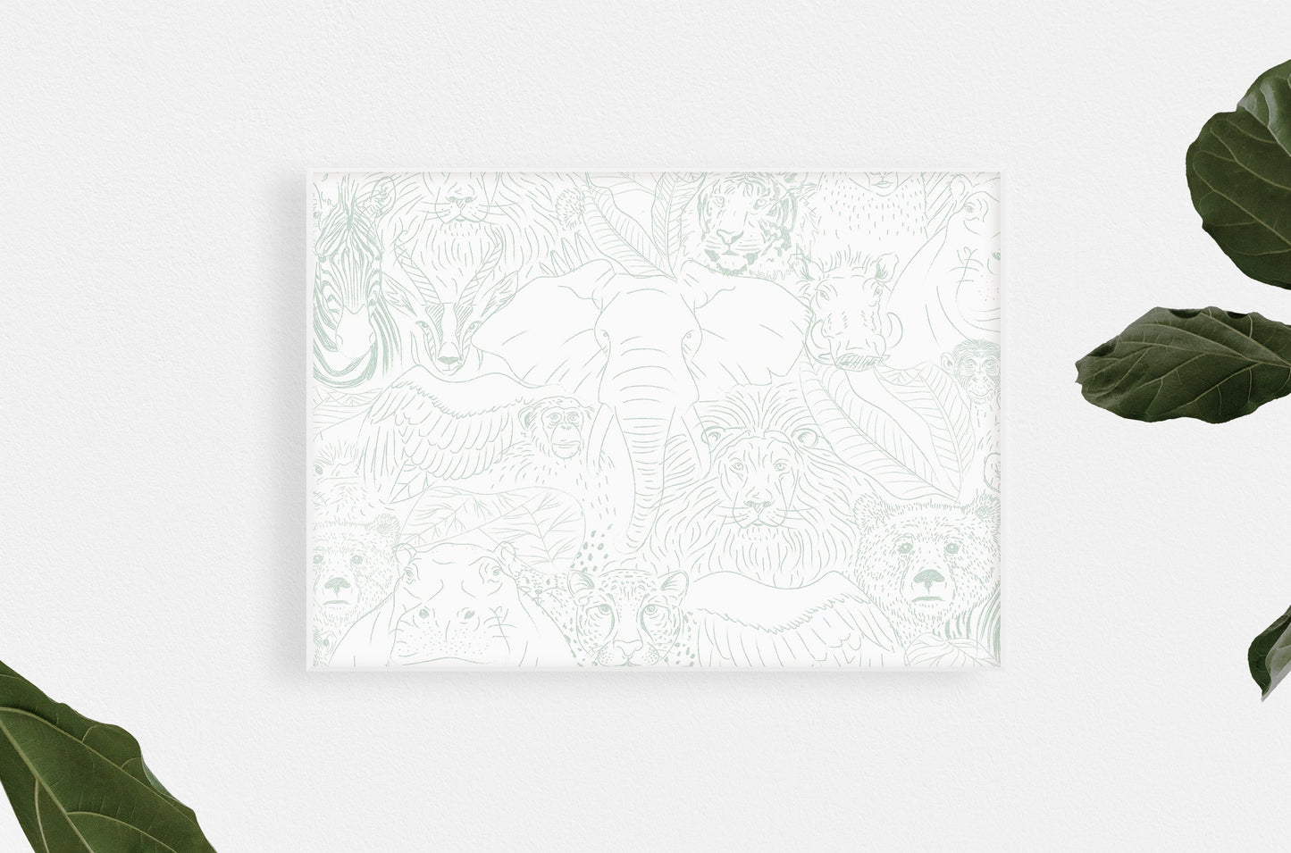 Animal Kingdom Wallpaper