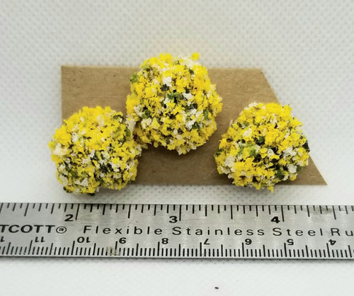 Border Plant, Yellow-White, Large