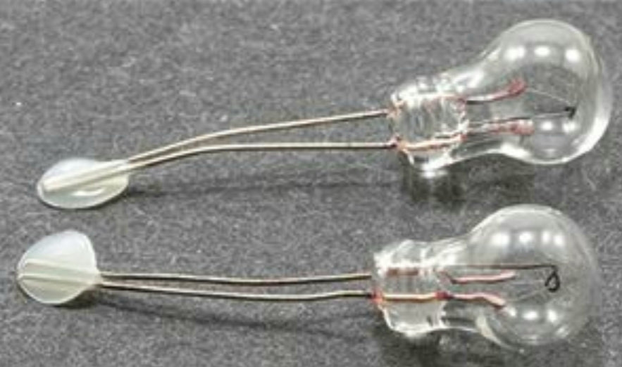 Bi-Pin Pea Bulb - 4  Pack