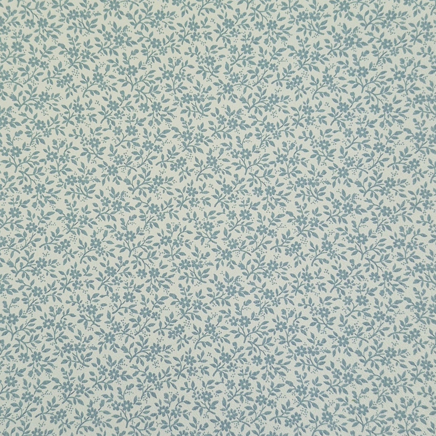 Blue Flowers on White Background - Wallpaper
