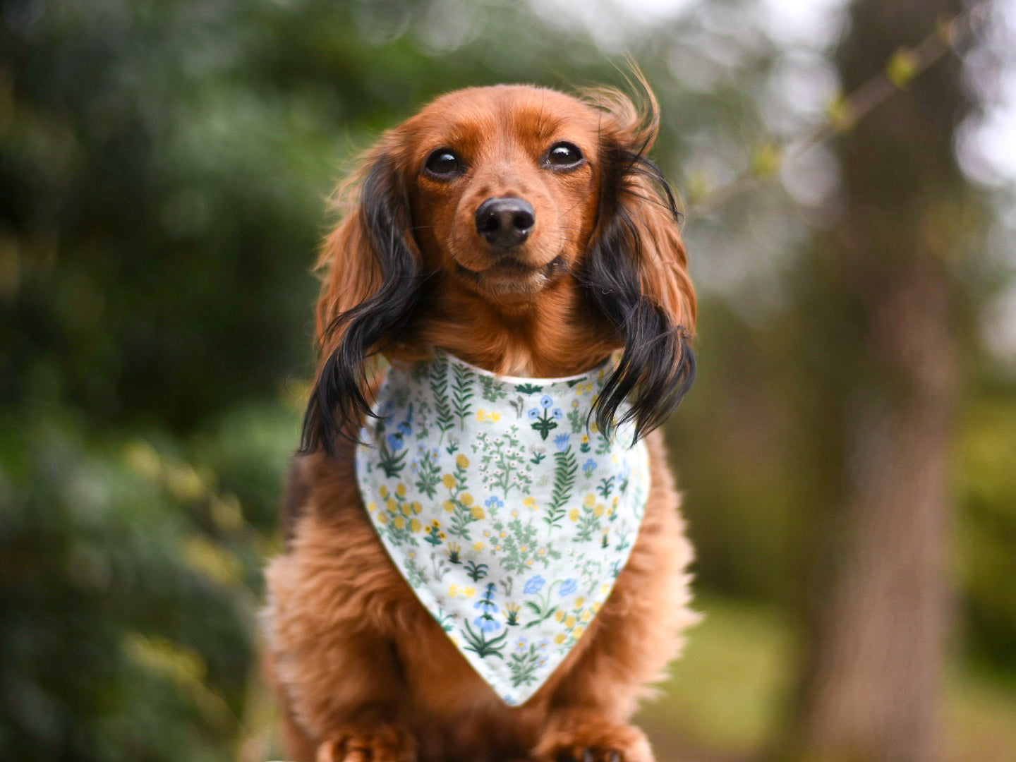 "I do too" Wedding or Engagement Dog Bandana