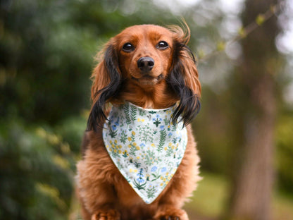 "Mama's Boy" Dog Bandana