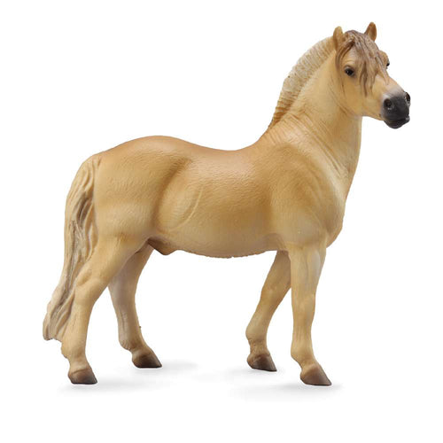 Fjord Stallion Brown Dun