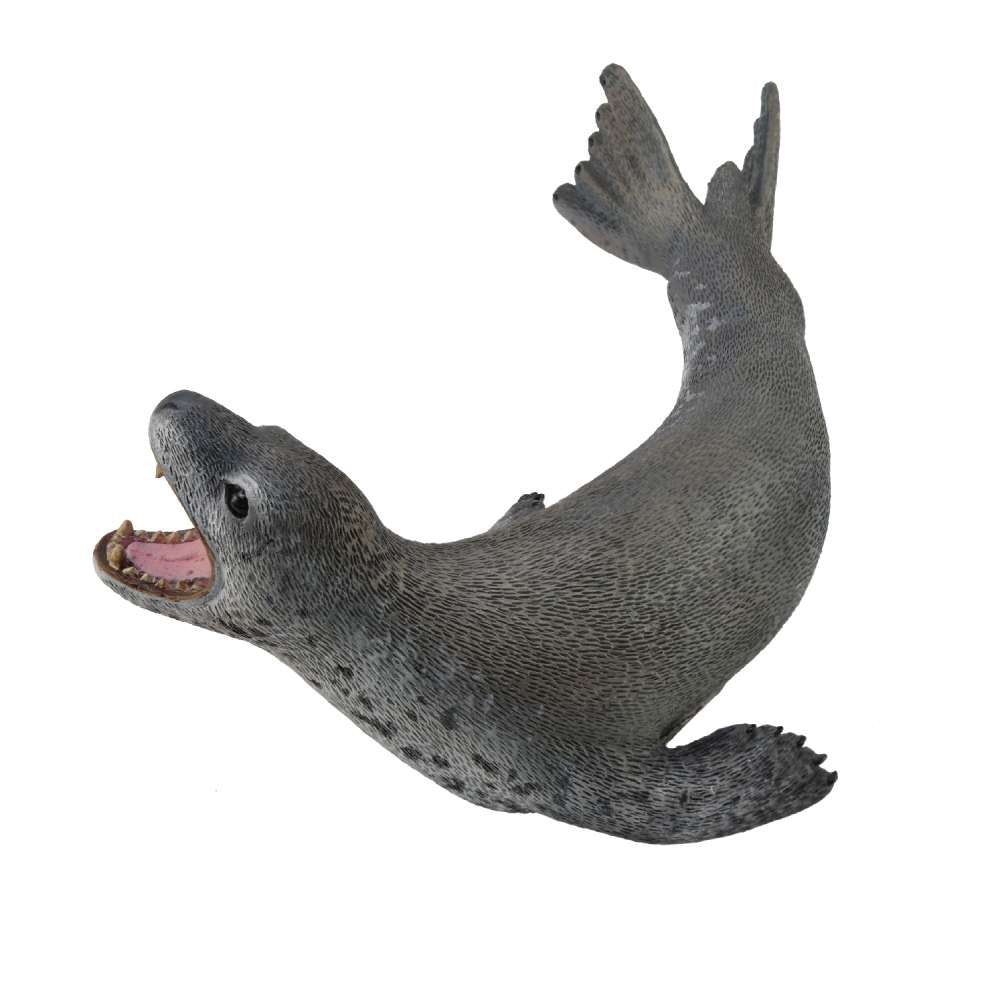 Leopard Seal