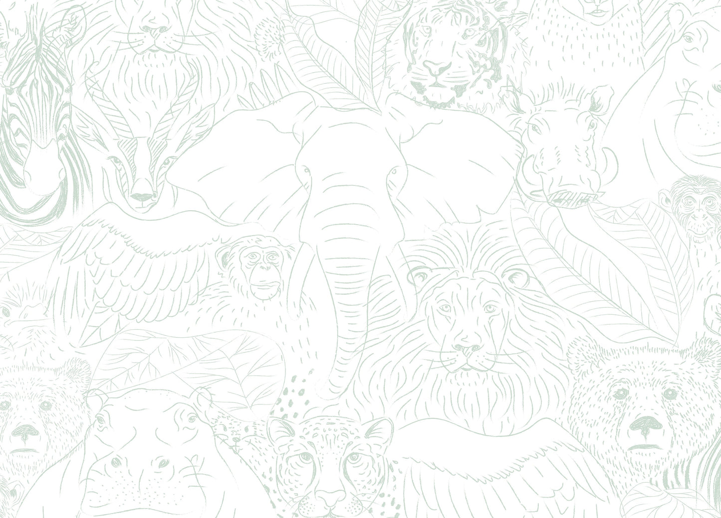 Animal Kingdom Wallpaper