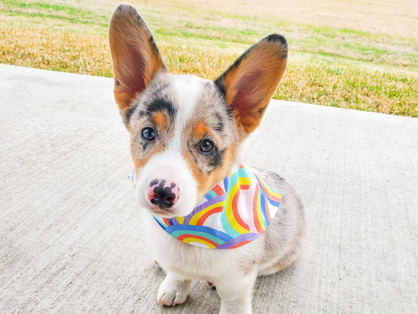 "I do too" Wedding or Engagement Dog Bandana
